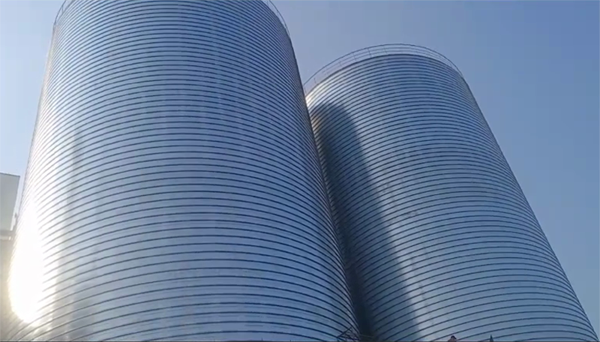 诸城2座混凝土高架卷板仓